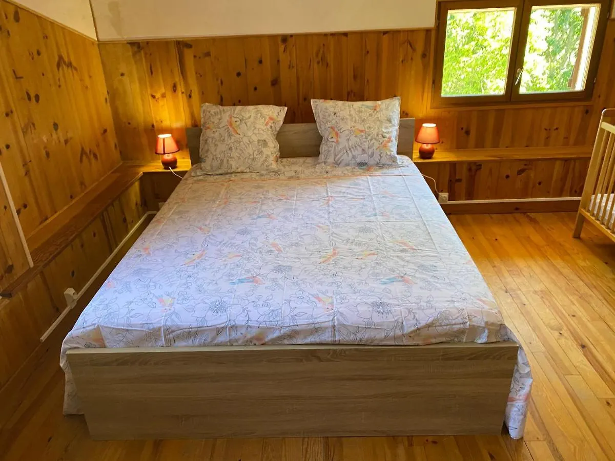 Holiday home Loustalou Villa Puycelci France